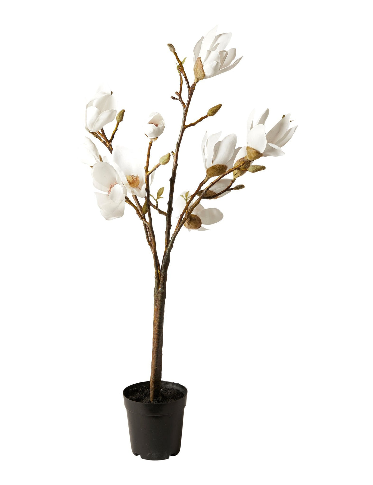 Artificial Magnolia Tree H70 cm - White