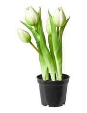 Artificial Tulips in Pot, 5 Stems, H25 cm - White