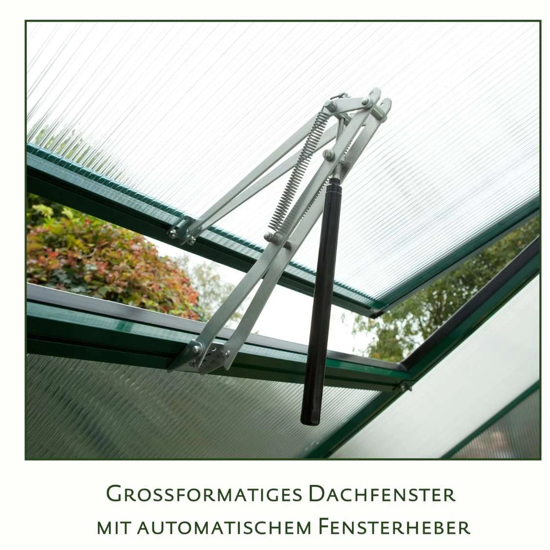 Orchidee III Clear Greenhouse KGT – Optimise Your Growing