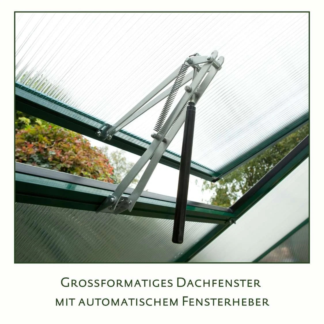 Callas III Clear Greenhouse KGT – Elegant Glass Design