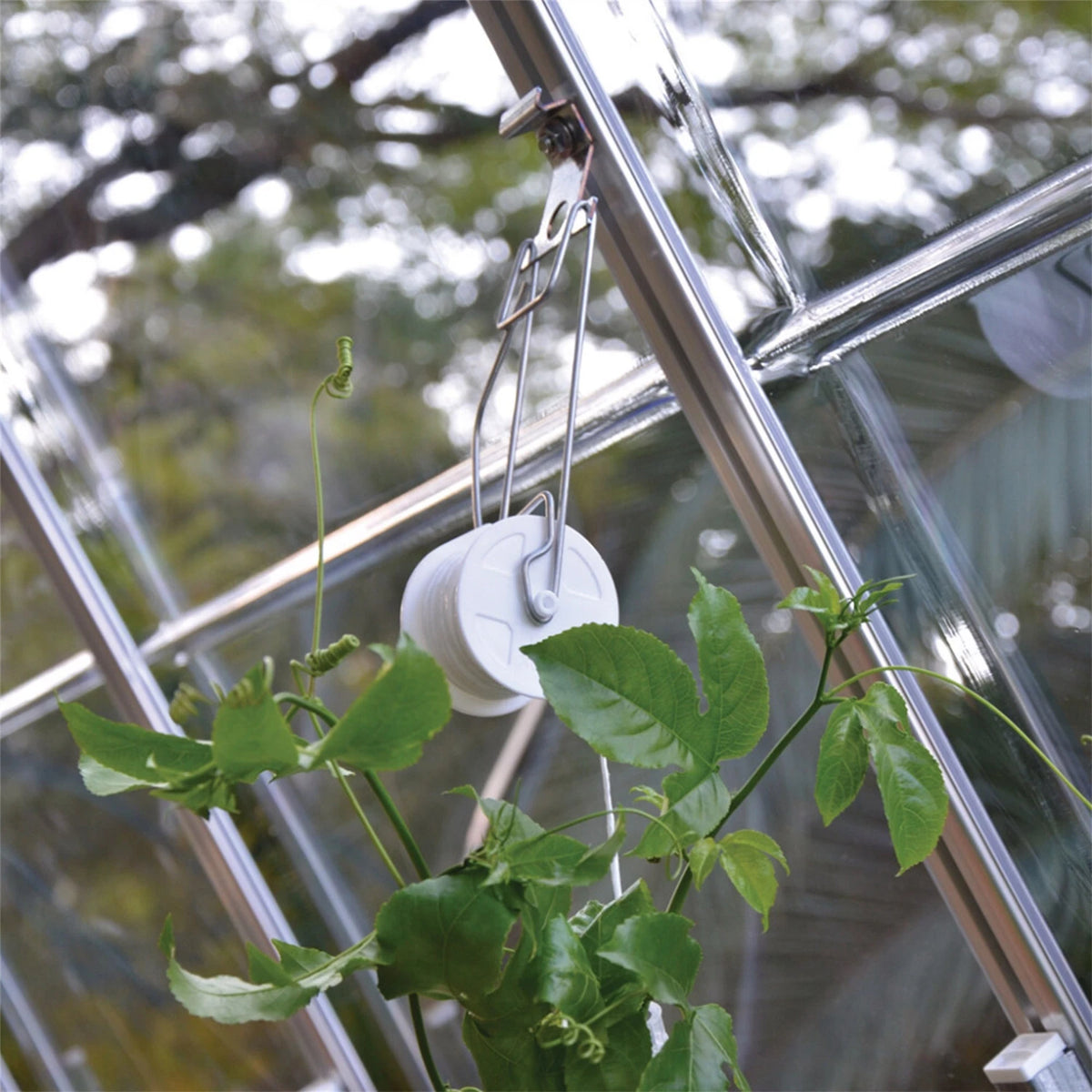 Trellising Kit Pro for Greenhouse