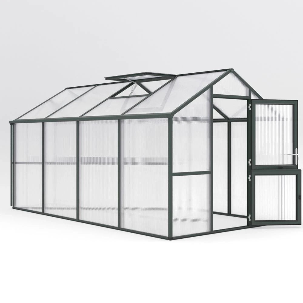 Greenhouse Iris IV, fir green
