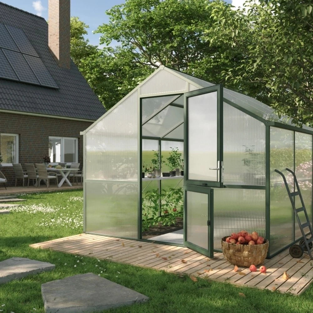 Greenhouse Nelke III, fir green