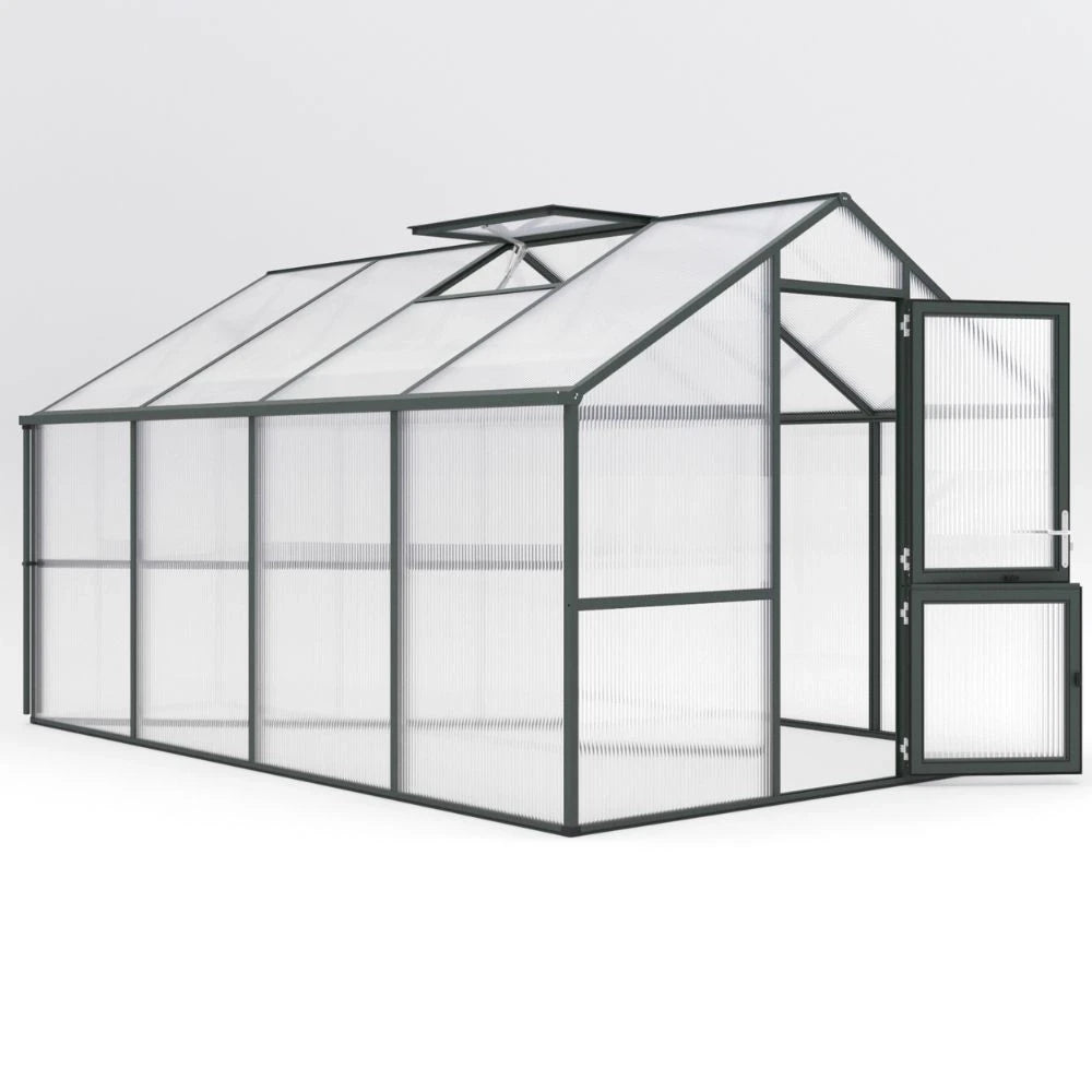 Greenhouse Nelke IV, fir green