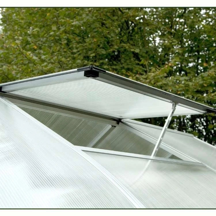 Rhodo IV Clear Greenhouse KGT – Spacious Glass Greenhouse