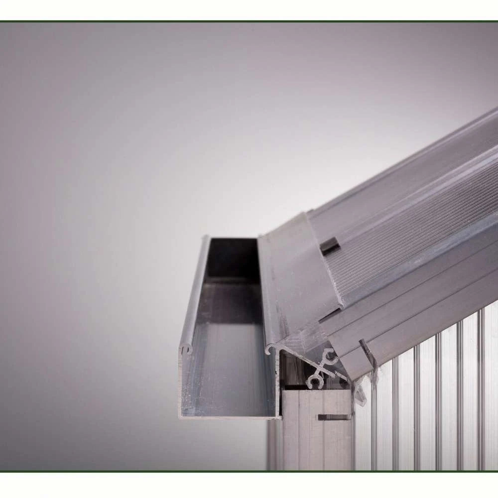 Greenhouse Nelke IV, blank
